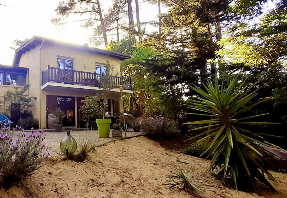 Вилла Mon Petit Coin Sous Les Pins Ла-Тест-де-Бюш Экстерьер фото